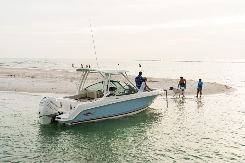 4740966-large 4740966-large